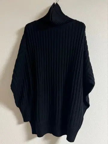 IENA 블랙 리브 하이넥 니트