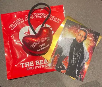 THE REASON EXILE NESMITH 머리끈 포토 카드