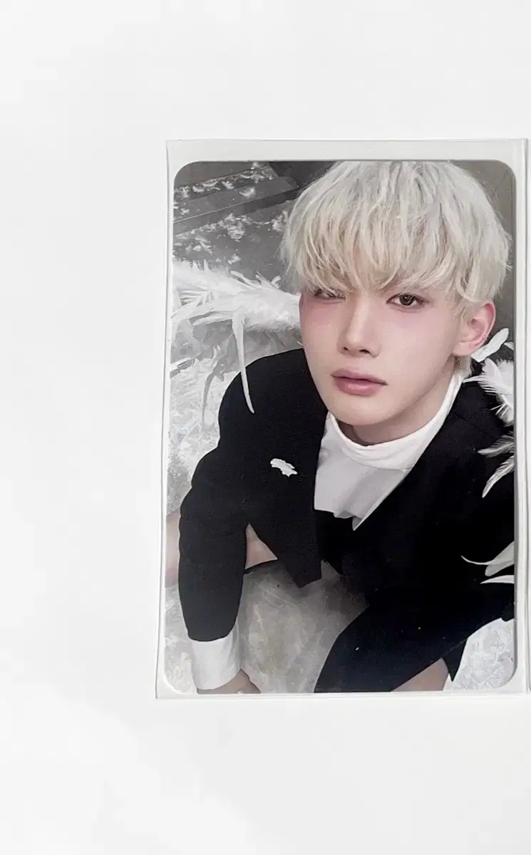 &team Jo Jo Back to the Life Weverse album poca poca box photo box