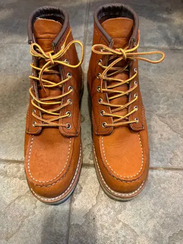 #875 6인치 클래식 모크 아이리쉬 세터