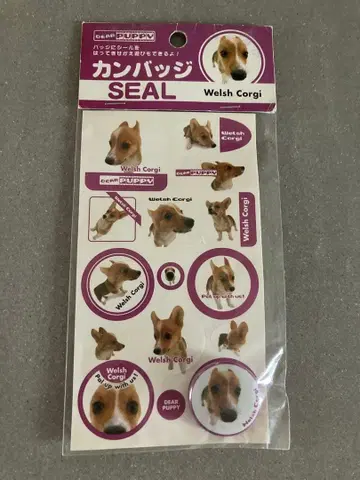 초레어!레어! 씰 코기