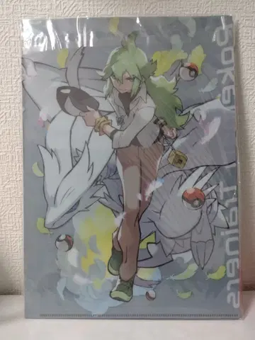 포켓몬 트레이너즈 클리어 파일 N