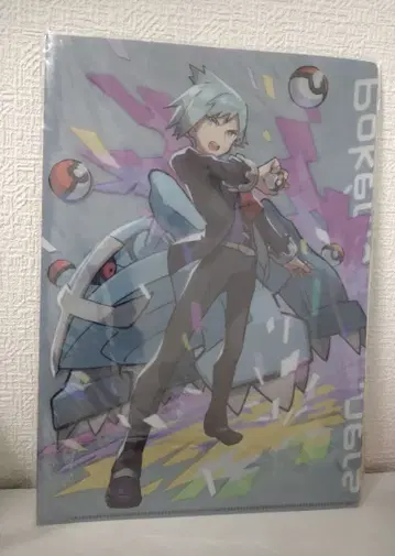 포켓몬 트레이너즈 클리어 파일 다이고