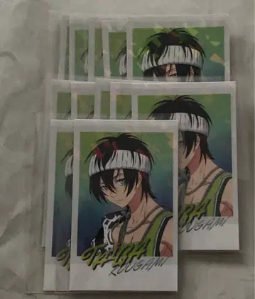 킹프리 x 파라라이 트레이딩 카드 타이가