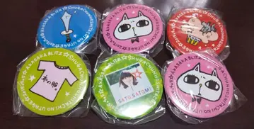 사토 사토미 라이브 굿즈 캔뱃지 6개 세트