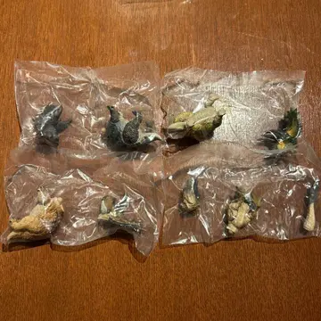 생물대도감 쁘띠 공룡 03 4종