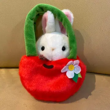 CUTE 토끼와 사과형 백의 봉제 인형 세트 귀여운 가성비 상품