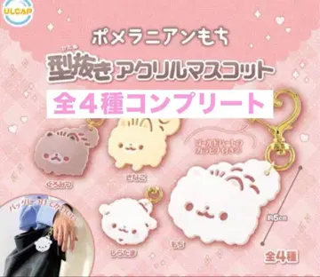 포메라니안 모찌 형상 아크릴 마스코트 컴플리트 전 4종