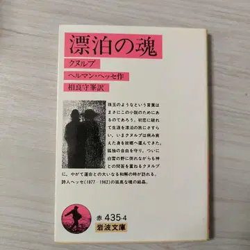 방랑하는 영혼 크눌프 헤르만 헤세 저