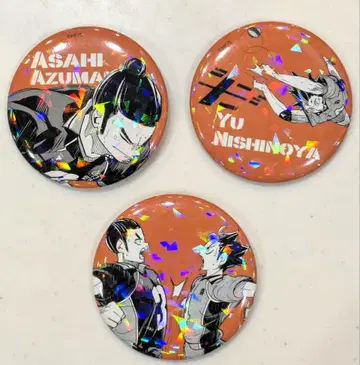 쓰레기장의 결전 - First half - 홀로그램 올스타 캔뱃지 3개