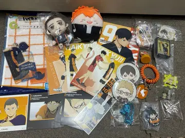 하이큐 카라스노 세트