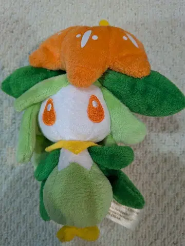 포켓몬 센터 오리지널 봉제 인형 마스코트 드레디아 타입 포커스