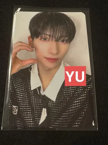 NEXZ 팝업 카페 CD 럭키 드로우 트레이딩 카드