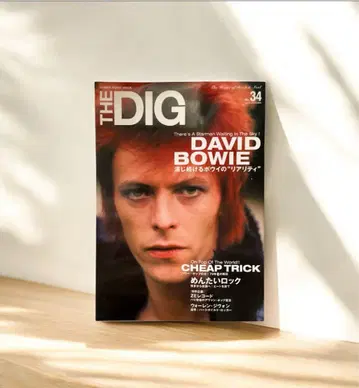 THE DIG 34호 데이비드 보위 특집 컬렉터즈 아이템