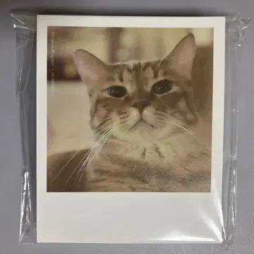 [이시다 유리코] 생활의 즐거움전 하니오와 밋츠보야 메모 블록