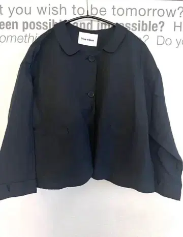 린넨주케트 blue willow