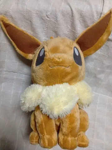 포켓몬 이브이 봉제 인형 프라이스