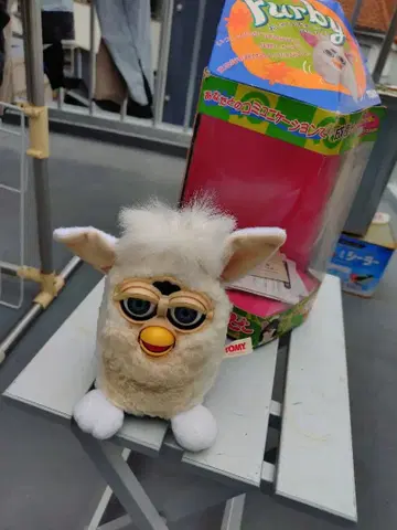 초대 퍼비 일본어판