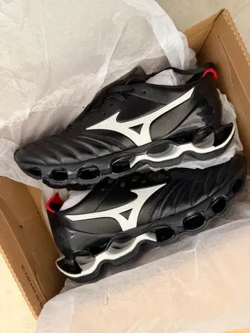 미즈노 웨이브 프로페시 모렐리아 네오 27cm