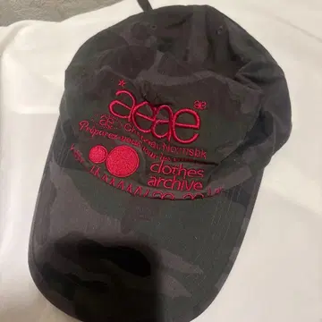 aeae WEB LOGO CAP
