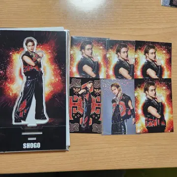 이와타니 쇼고 아크릴 스탠드 시크릿 포토 카드