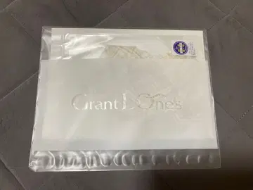 다이아몬드 홀미 레이스 마스크