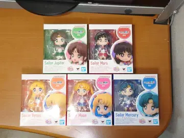 피규아트 미니 세일러문 5인 세트