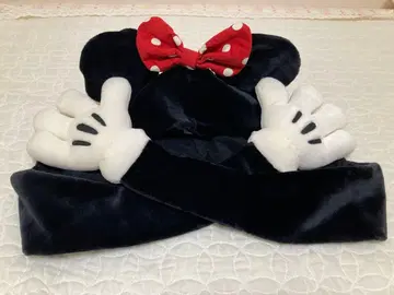 도쿄 디즈니랜드 팬캡 미니