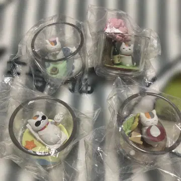 냥코 선생님 사계절테라리움