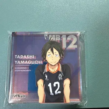 오로라 브로키 야마구치