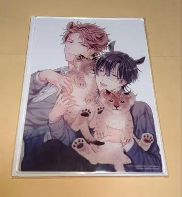 사쿠라 리코 선생님 A5 아크릴 보드 [ 서러브레드는 흔들리지 않아 ]