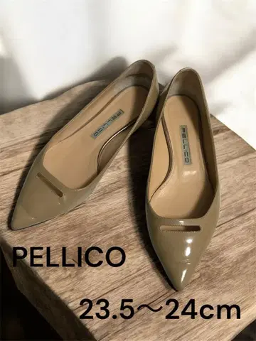 PELLICO ANIMA 아넬리 에나멜 펌프스 1cm 베이지 37