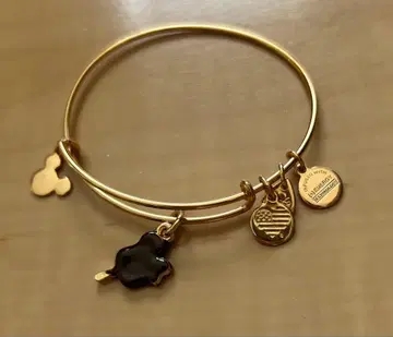 디즈니 파크 alex and ani 아이스 미키 파크 푸드