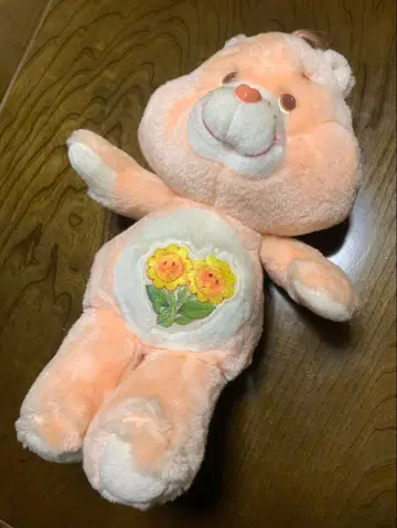 1982년 빈티지 케어베어 프렌드 베어 오렌지 봉제 인형