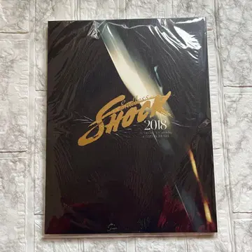 Endless SHOCK 2018 팜플렛