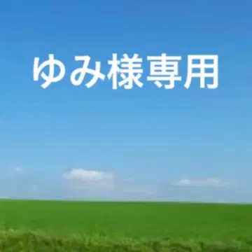 미사용 TOFF&LOADSTONE 가죽 접이식 지갑 리자드 엠보 블랙