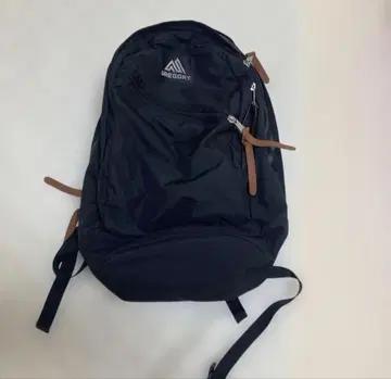 GREGORY 블랙 백팩