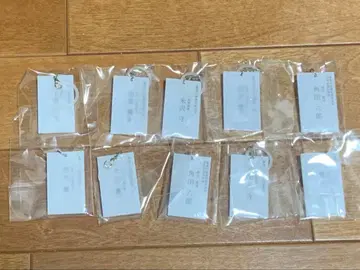 파트너 메지루시 참