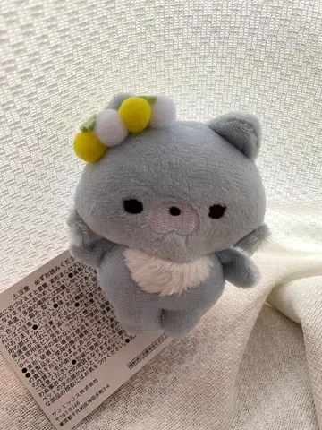 아오이 늑대 인형 배지 스토어 한정판