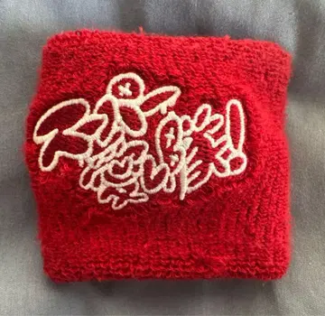 . 슈퍼 아이시타이 리스트 밴드