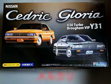 후지미 세드릭 / 글로리아 브로엄 VIP