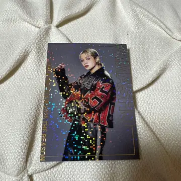 THERAMPEGE 야마모토 쇼고 포토 카드 시크릿