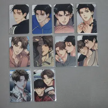 해빙 곡선 트레이딩 카드 4 한국 BL