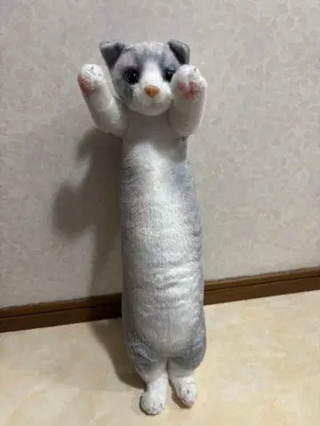 타치치Zoo 고양이 봉제 인형 자택 보관품