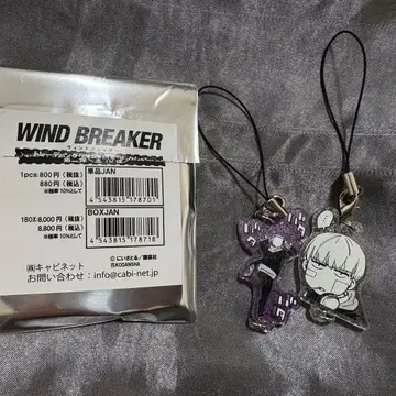 WINDBREAKER 카지 렌 라메 체인 컬렉션