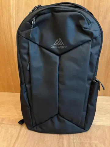 GREGORY 스케치 30