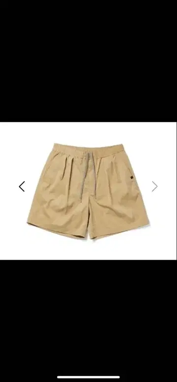 DAIWA PIER39 Tech Easy 2P Shorts Twill