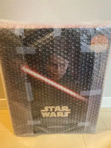 핫토이즈 아나킨 스카이워커 아티산 SWCJ2025 일본 한정판