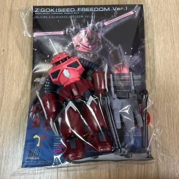 HG ZGMF-X20A ZGOK (SEED FREEDOM Ver.)