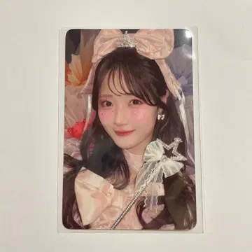 LARME FES'25 라르무 페스티벌 카와모토 에미 트레이딩 카드